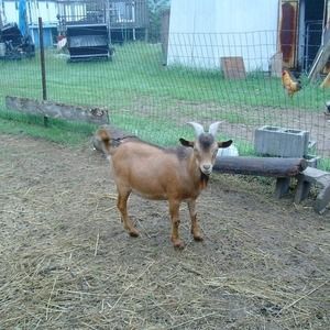 Meet your Posher, Herb